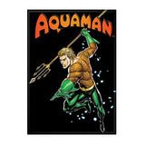 Aquaman Underwater Magnet