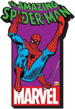 Spiderman With Logo Chunky Magnet