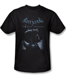 Batman Arkham Origins Perched Bat Mens T-Shirt